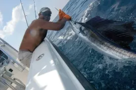 Brad Spalding Avatar